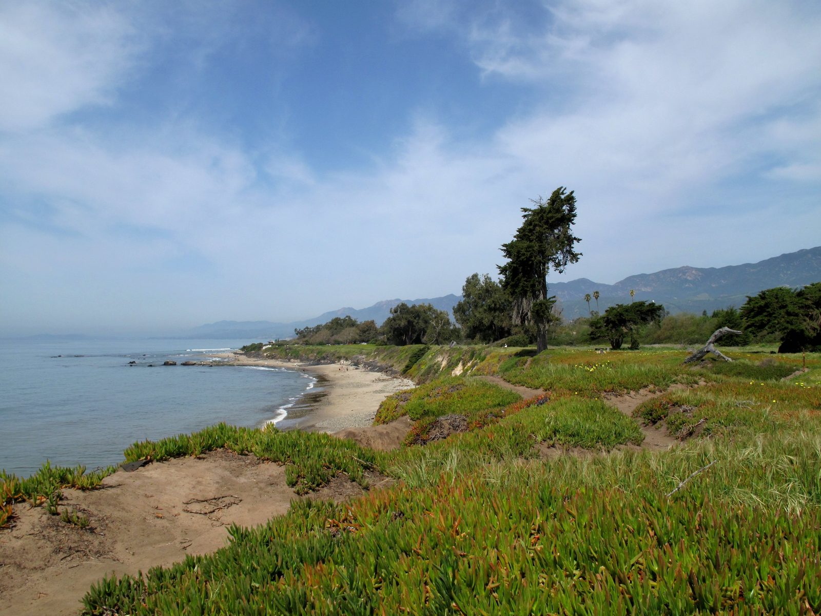 Carpinteria State Beach, a short walk from the festival footprint on Linden Avenue.