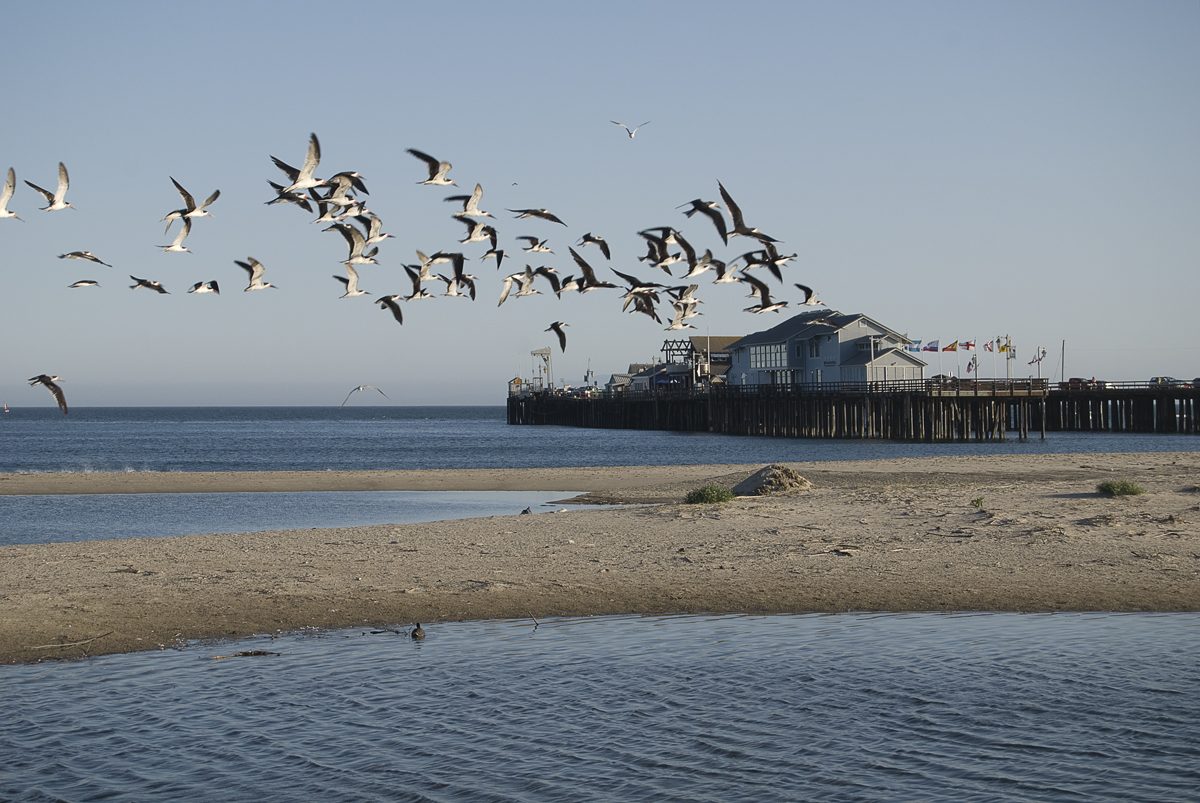 Stearns Wharf on the Santa Barbara waterfront, near the southern end of the corridor at East Cabrillo Boulevard.