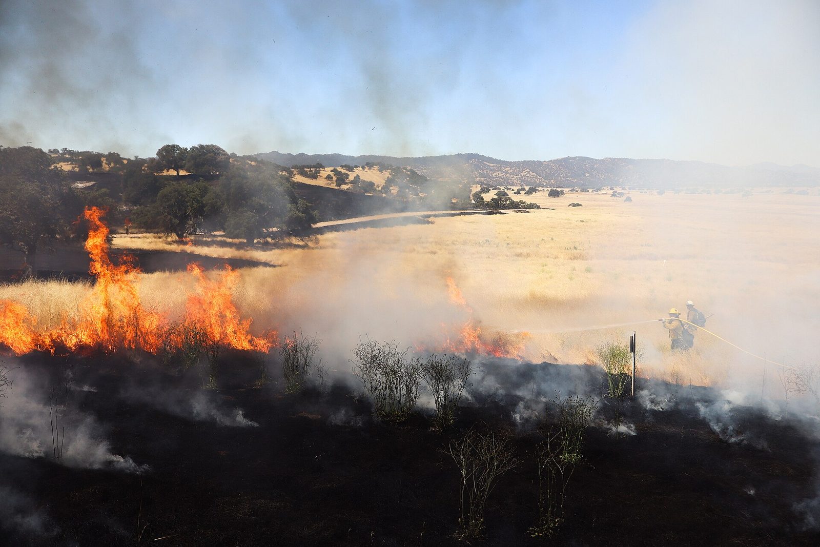 Los Padres National Forest firefighters conducting live fire training in dry grassland in June 2024