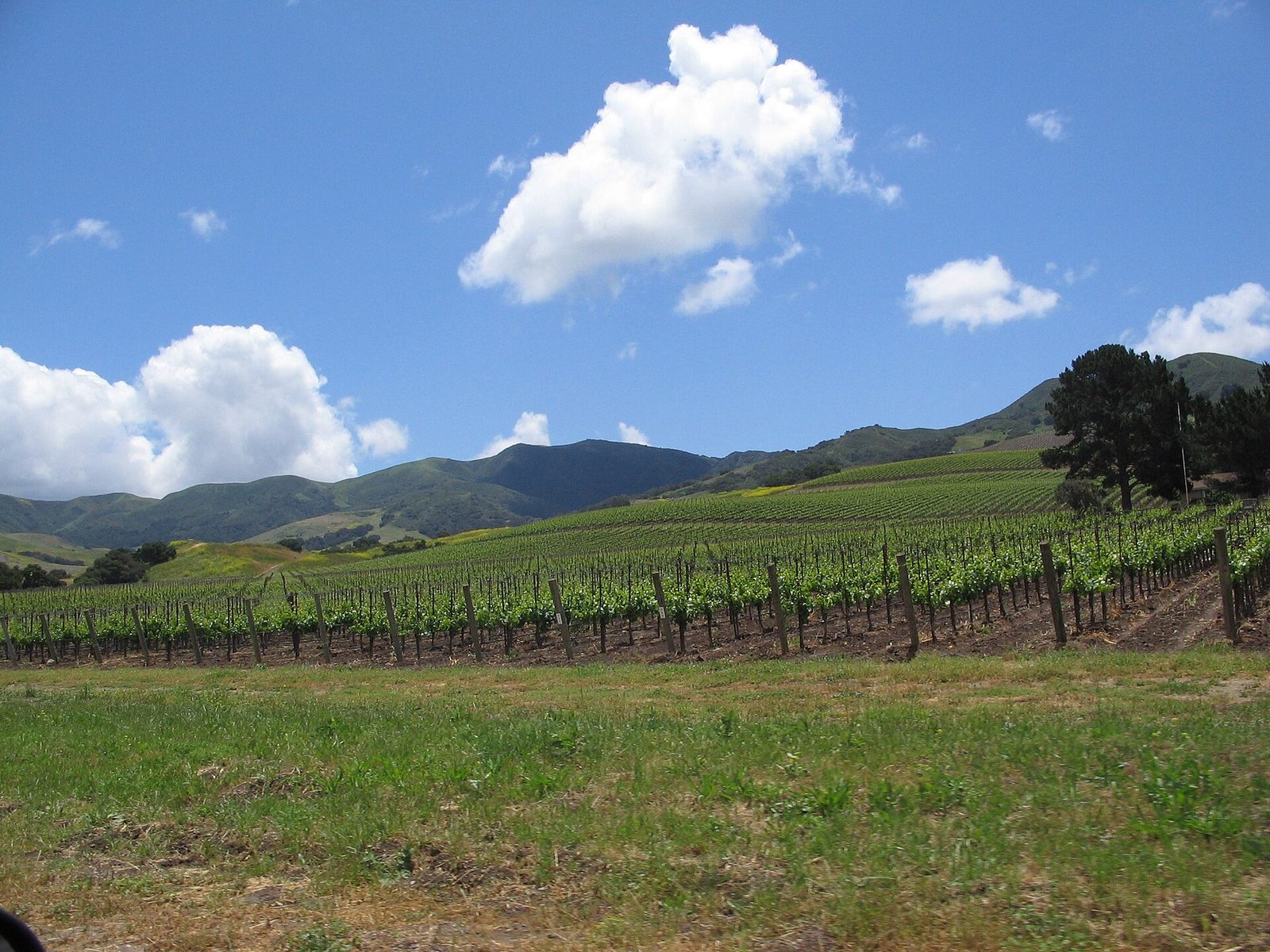 The Santa Ynez Valley. The county's new framework caps larger commercial solar projects at 16,000 acres countywide.