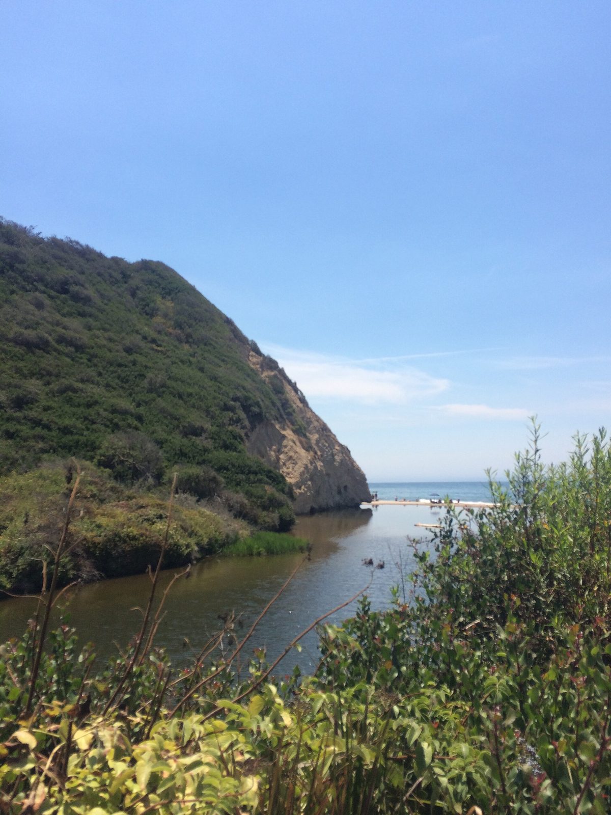 A Newcomer's Guide to Santa Barbara